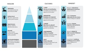 💡La culture, des réflexes collectifs performants